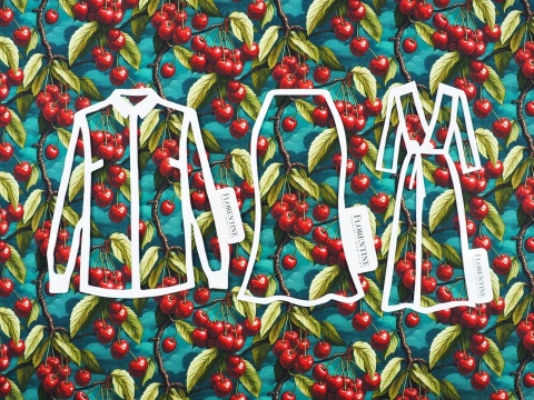 jedwab w gałązki z owocami czereśni na morskim tle