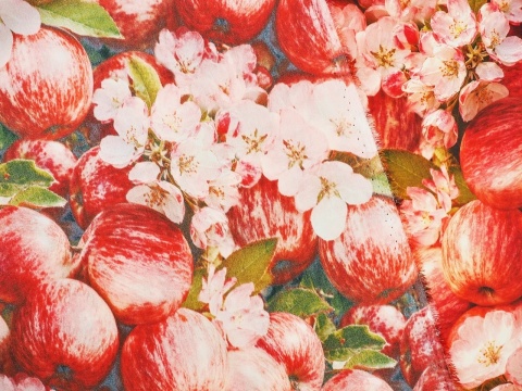 jedwab w gęste, czerwone jabłka oraz różowe kwiaty jabłoni