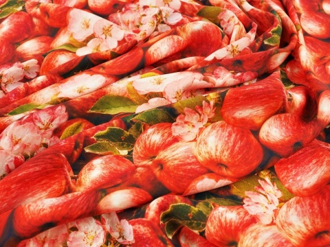 jedwab w gęste, czerwone jabłka oraz różowe kwiaty jabłoni