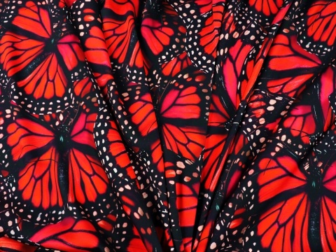 wiskoza w duże, czerwone motyle