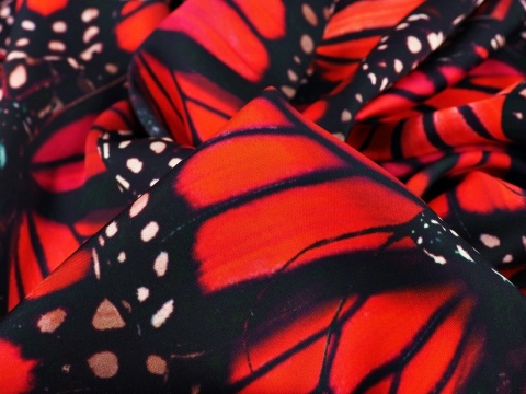 wiskoza w duże, czerwone motyle