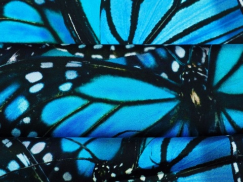 wiskoza w duże, niebieskie motyle