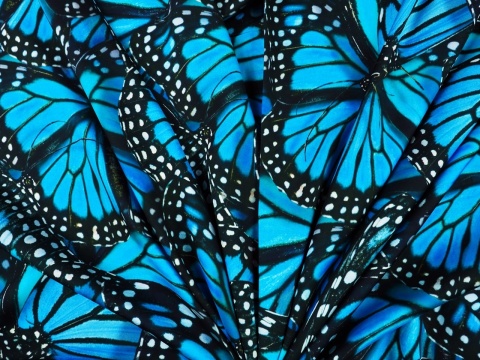 wiskoza w duże, niebieskie motyle