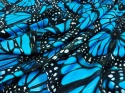 wiskoza w duże, niebieskie motyle