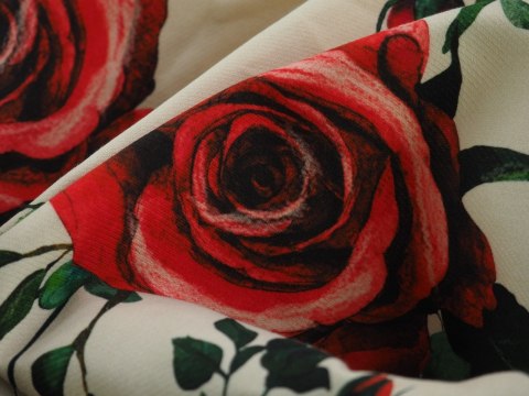 Bawełna elastyczna D&G - Róże na kremie Bawełna elastyczna D&G - Róże na kremie