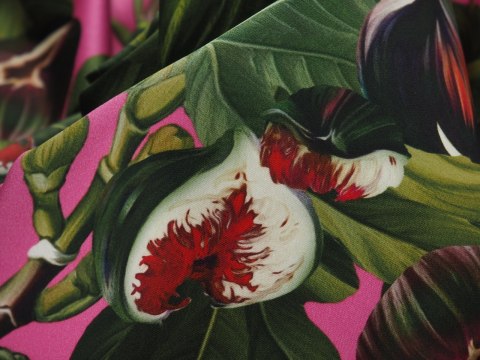 Bawełna elastyczna - Figi Bawełna elastyczna - Figi