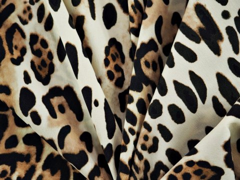 Jedwab i nylon - Panterka jasna Jedwab i nylon - Panterka jasna