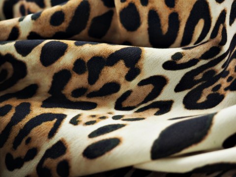 Jedwab i nylon - Panterka jasna Jedwab i nylon - Panterka jasna