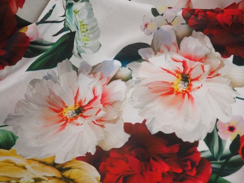 Bawełna sygnowana - Duże tulipany na bieli Bawełna sygnowana - Duże tulipany na bieli