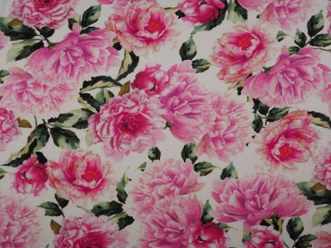 Dzianina bawełniana - Różowe peonie na bieli Dzianina bawełniana - Różowe peonie na bieli