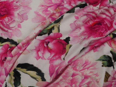 Dzianina bawełniana - Różowe peonie na bieli Dzianina bawełniana - Różowe peonie na bieli