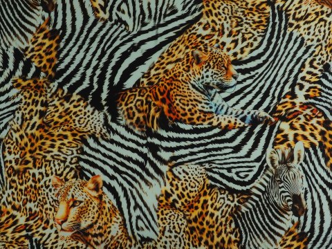 Jedwab - Dzikie koty i zebra Jedwab - Dzikie koty i zebra