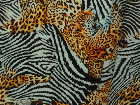 Jedwab - Dzikie koty i zebra Jedwab - Dzikie koty i zebra