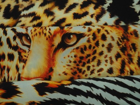 Jedwab - Dzikie koty i zebra Jedwab - Dzikie koty i zebra