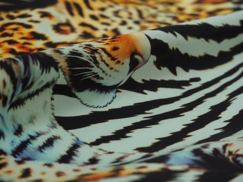 Jedwab - Dzikie koty i zebra Jedwab - Dzikie koty i zebra