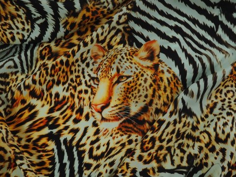 Jedwab - Dzikie koty i zebra Jedwab - Dzikie koty i zebra