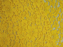 Koronka bawełniana - Cytrynowy żółty