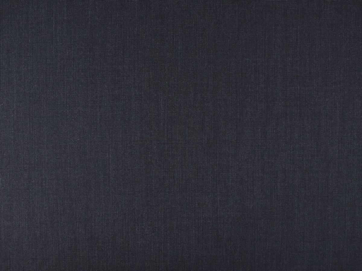 vitale barberis wełna sygnowana bird's eye żabie oczko vitale barberis wełna sygnowana bird's eye żabie oczko
