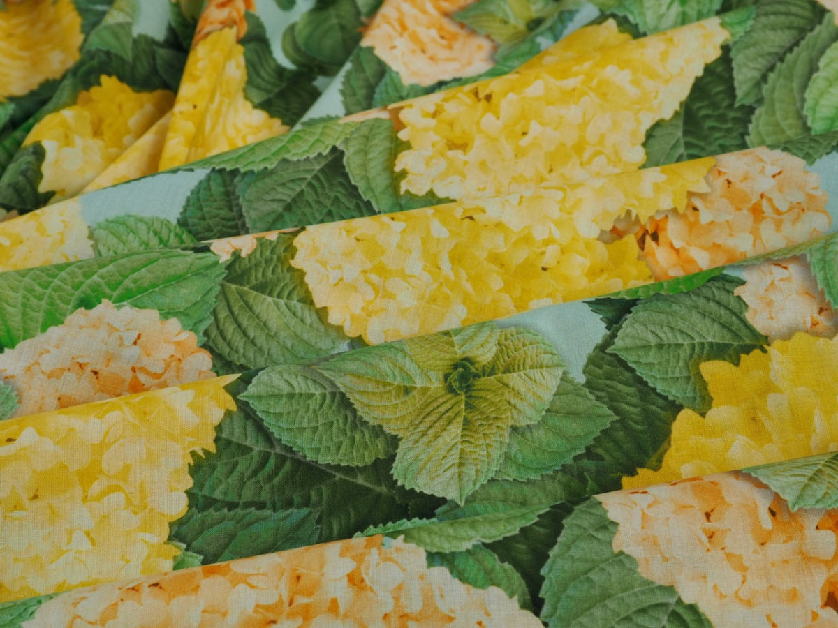 Batyst bawełniany - Hortensje na błękicie Dolce Batyst bawełniany - Hortensje na błękicie Dolce
