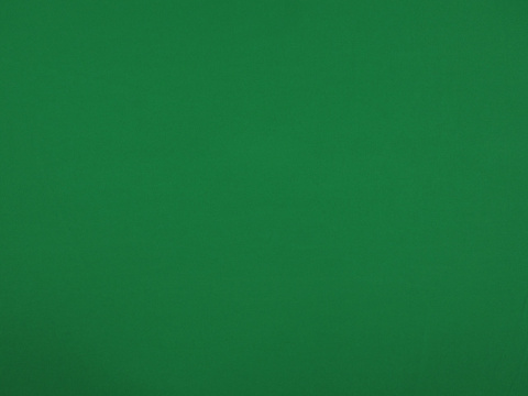 Poliamid elastyczny - Jasny, trawiasty zielony