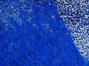 Tiul wieczorowy - Kobaltowe pióra i cekiny