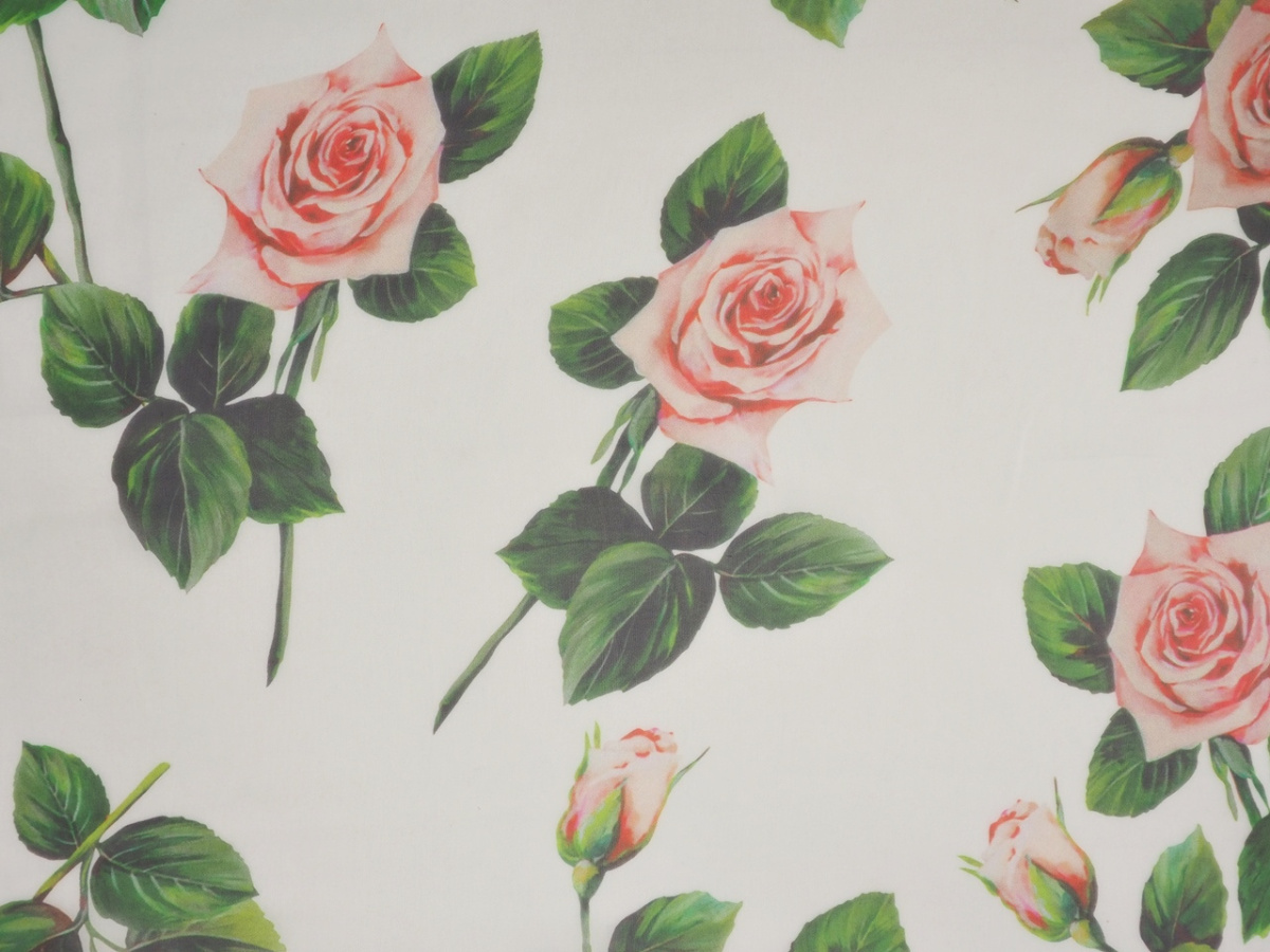 Jedwab szyfon - Róże, zielone liście, białe tło