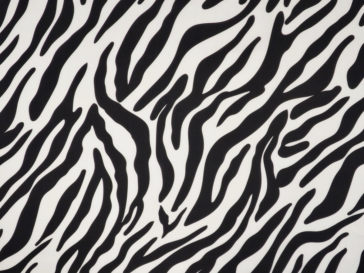 Jedwab szyfon - Zebra Jedwab szyfon - Zebra