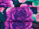 Jedwab elastyczny - Malowane róże fiolet i morski