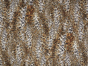 Jedwab naturalny - Panterka satynowa Jedwab naturalny - Panterka satynowa