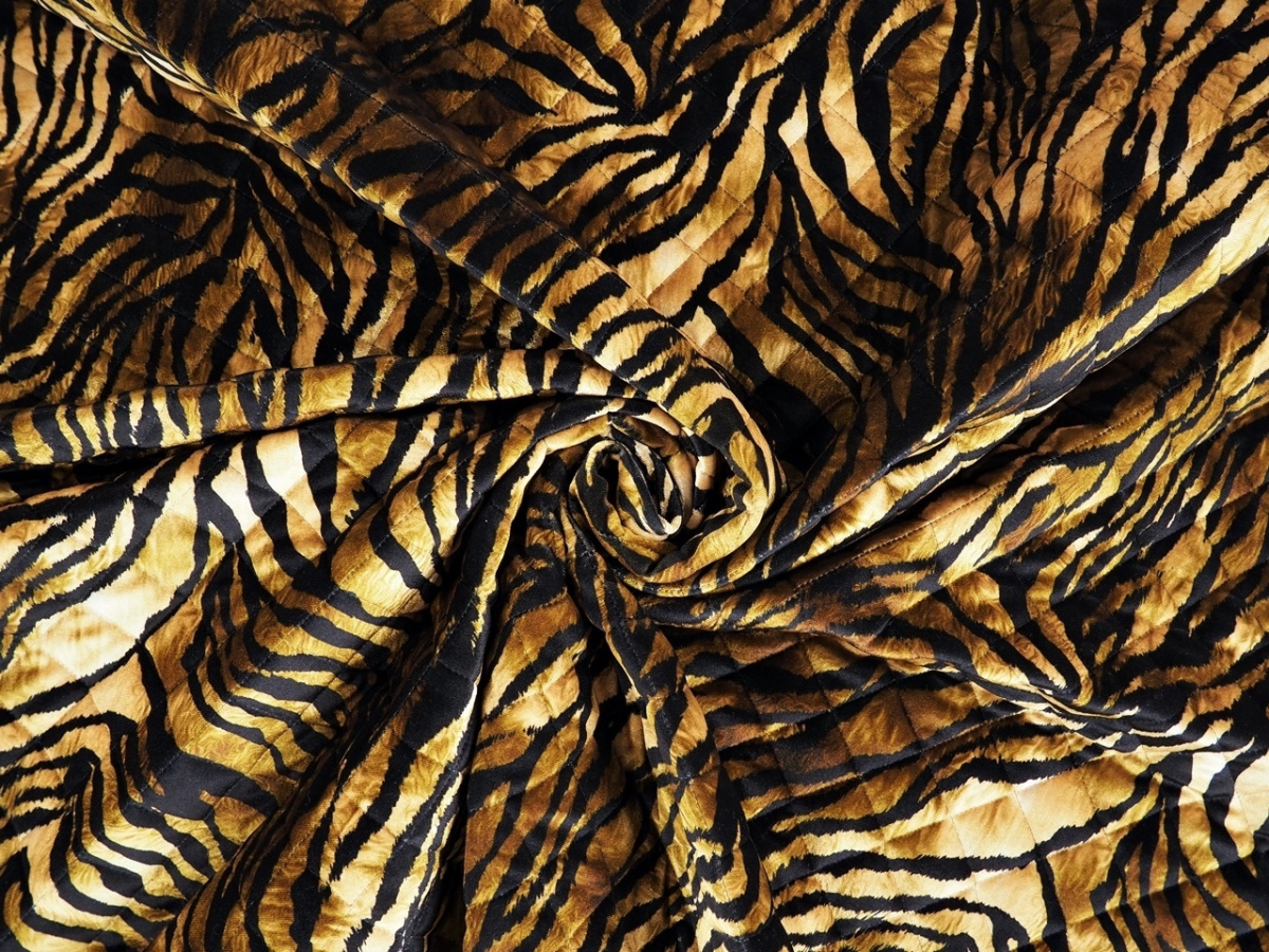 Pikówka welurowa - Paski tygrysa