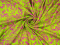 Jedwab elastyczny - Różowo-zielone kwiaty
