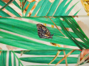 jedwab liście palmowe motyl