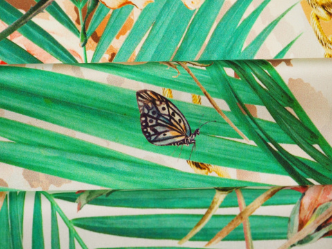jedwab liście palmowe motyl jedwab liście palmowe motyl
