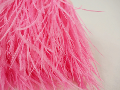 Pióra na taśmie - Jasny róż