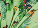 pistacjowy jedwab liście papugi ananasy