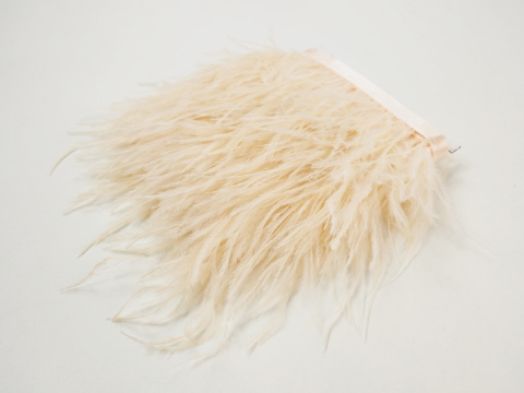 morelowe pióra na taśmie