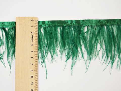 zielone pióra na taśmie miarka