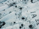 jasno błękitna bawełna ażurowa w modne znaki zodiaku