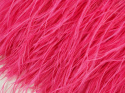 pióra na taśmie w kolorze różowym