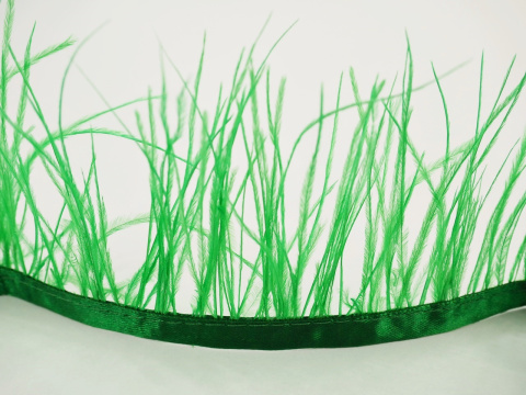 pióra na taśmie zielone