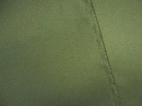 podszewka w kolorze oliwkowej zieleni