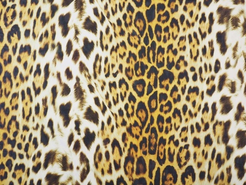 szyfon jedwabny w żółtą panterkę