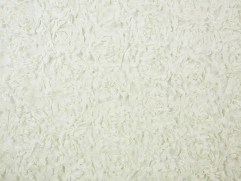 kremowy tiul w przestrzenne aplikacje płatków róż