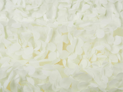 kremowy tiul w przestrzenne aplikacje płatków róż